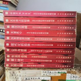 中国问题报告丛书10本