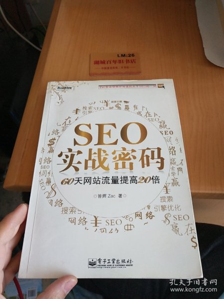 SEO实战密码：60天网站流量提高20倍