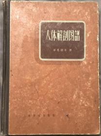 人体解剖图谱（美：Barry J.Anson）1958年