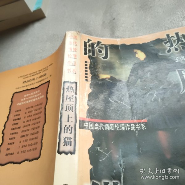 中国当代情爱伦理作品书系----隐密