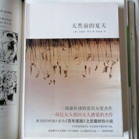 天黑前的夏天（新经典文库348：莱辛作品01，2009年8月一版一印，新书未翻阅，品相见图片）