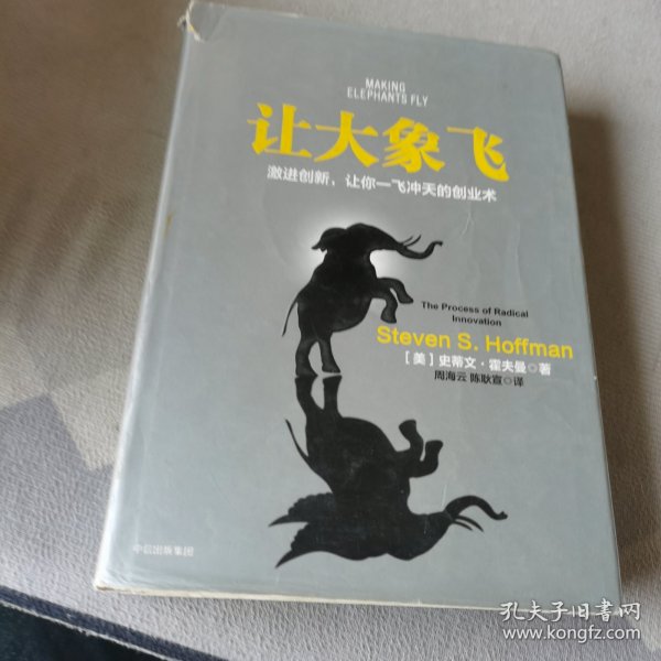 让大象飞:激进创新，让你一飞冲天的创业术