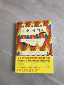 小小小小的火