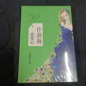 什刹海追爱记