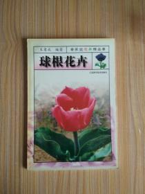球根花卉