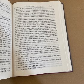 中国新刑法学