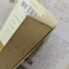 露西 Lucy(Jamaica Kincaid 牙买加·琴凯德)