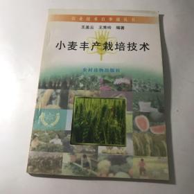 小麦丰产栽培技术