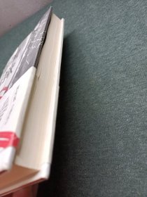 美国监狱（美国权力和资本的游戏，现实版《越狱》，一本书看透美国监狱血淋淋的生财之道）