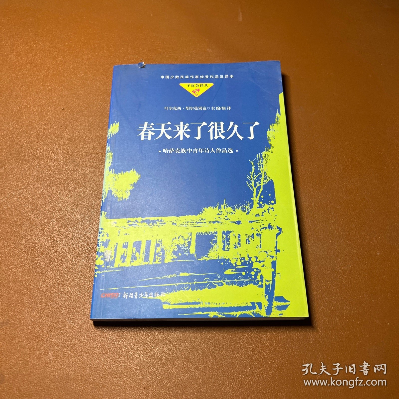 春天来了很久了:哈萨克族中青年诗人作品选