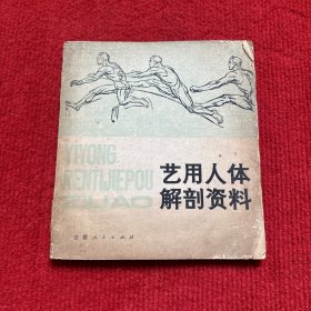 艺用人体解资料