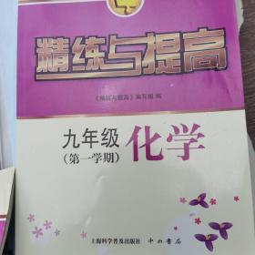 精练与提高. 九年级化学. 第一学期