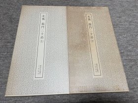 北魏 龙门二十品 上下 二玄社书迹名品丛刊