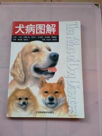 犬病图解