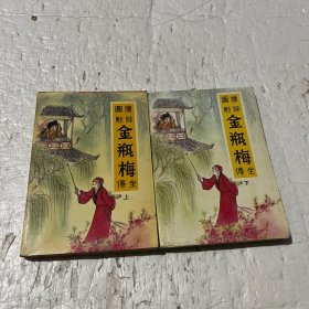 金瓶梅傅全（上下册）