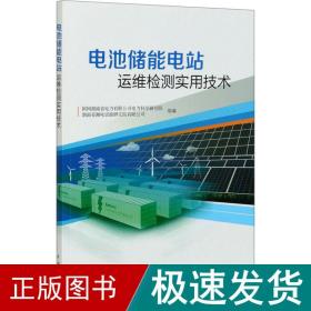 电池储能电站运维检测实用技术