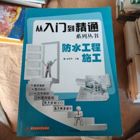 从入门到精通系列丛书：防水工程施工