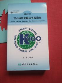 KDIGO 肾小球肾炎临床实践指南（翻译版） 【内页如新】