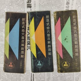 折迭式经穴层次解剖图解（躯干部分）（上肢部分）（下肢部分）3本合售