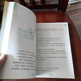 童话卷1：童心拾贝——当代儿童文学阅读新经典