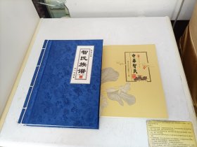 家谱类: 智氏族谱 （盐阜总谱，万一公支系）