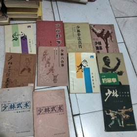 少林正宗气功，少林红拳，少林拳法真传，少林擒拿法，少林正宗练步拳，少林六合拳，少林看家拳，少林豹窜拳，少林二十腿三十六手，少林武术梅花枪，擒拿与脱打火棍11本合售