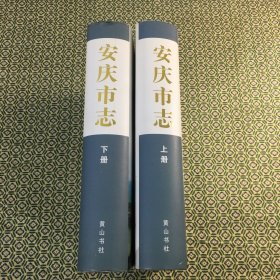 安庆市志（上下）（1978一2000）
