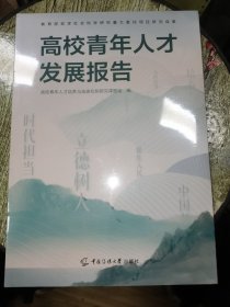 高校青年人才发展报告