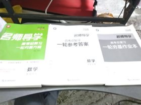 2024版新教材新高考，名师导学高考总复习一扎夯基方案 数学全国试用