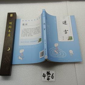 当代中国闪小说名家作品集：迷宫