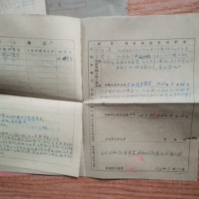 团员档案袋31个（内含1965年入团志愿书和申请书，有2份材料的，也有1份材料的）