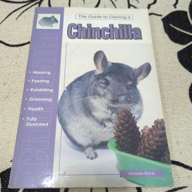 The Guide to Owning a Chinchilla 养龙猫手册