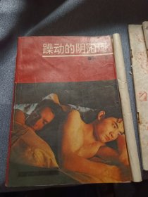 躁动的阴阳河