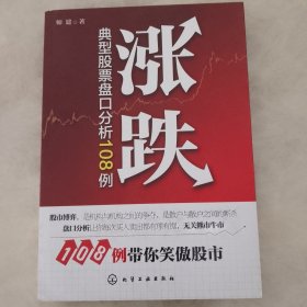 涨跌：典型股票盘口分析108例