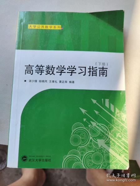 大学公共数学系列：高等数学学习指南（下册）