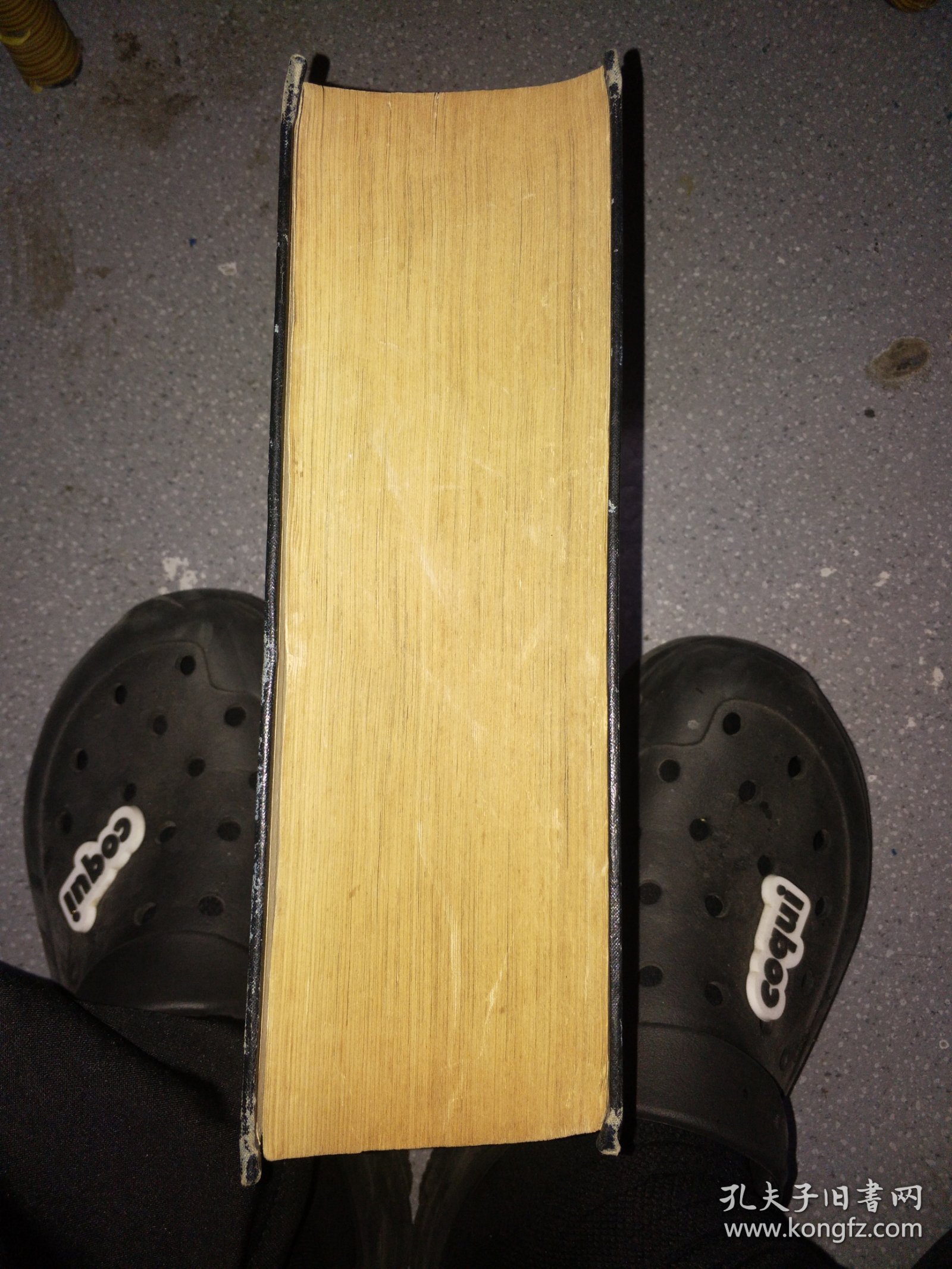 美国传统英语词典