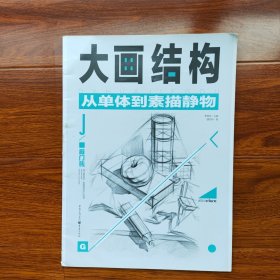 大画结构—从单体到素描静物 谭丙坤著 重庆出版社（正版库存）