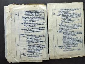 1953年山西大学生物教育实习教案（手写、油印本27页，在太原五中、六中实习）