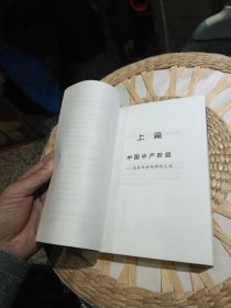 中国中产阶级:未来社会结构的主流 秦言 著 中国计划出版社9787800587207