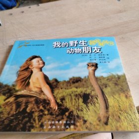 我的野生动物朋友