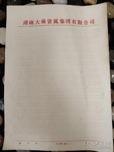 湖南大乘资氮集团有限公司  文稿纸13张