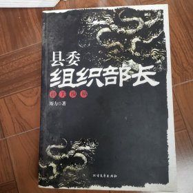 县委组织部长2：机关纵横