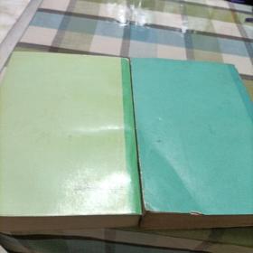 中国文学家辞典《现代，第一，六分册》