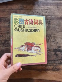 彩图古诗词典（精装）