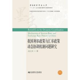 我国利率政策与汇率政策动态协调机制问题研究