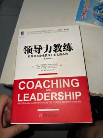 领导力教练：世界著名企业教练们的实践心得