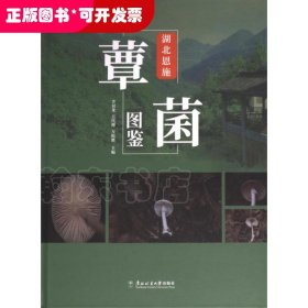 湖北恩施覃菌圖鑒