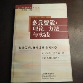 多元智能:理论、方法与实践（包邮）