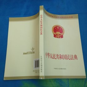 中华人民共和国民法典附草案说明32开