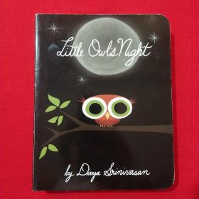 Little Owl's Night